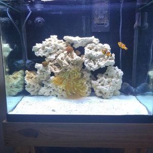 Meet your Posher, Jake